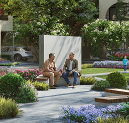 Senior Citizen Sit Out